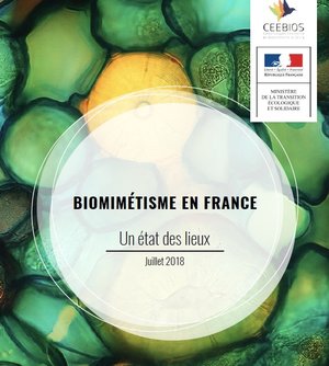 etude Ceebios-le biomimetisme en France